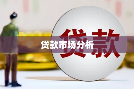 中宁贷款市场分析