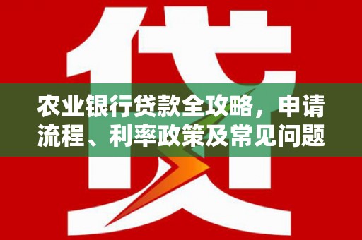 中宁农业银行贷款全攻略，申请流程、利率政策及常见问题解析