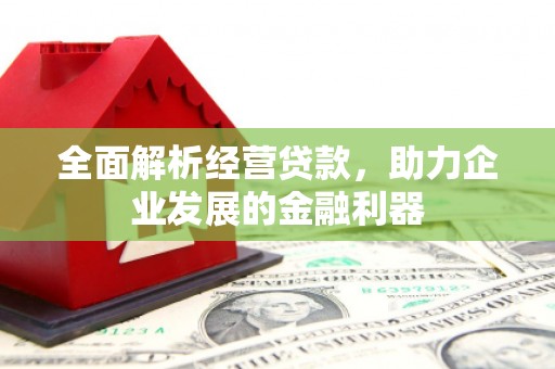 中宁全面解析经营贷款，助力企业发展的金融利器