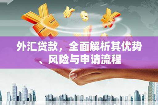 中宁外汇贷款，全面解析其优势、风险与申请流程