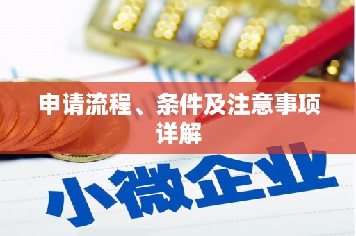 中宁申请流程、条件及注意事项详解