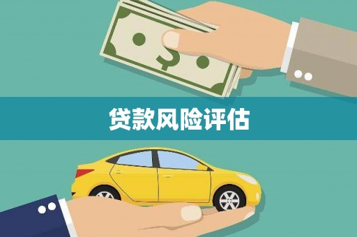 中宁贷款风险评估