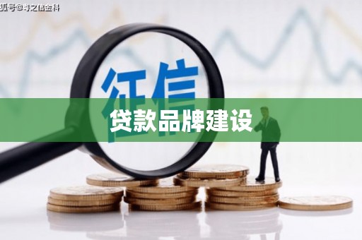中宁贷款品牌建设