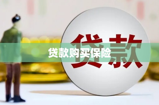 中宁贷款购买保险