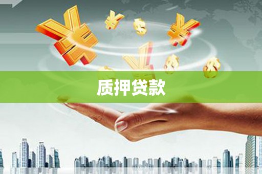 中宁质押贷款