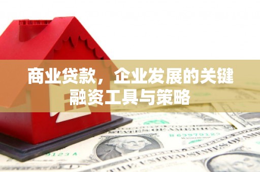 中宁商业贷款，企业发展的关键融资工具与策略