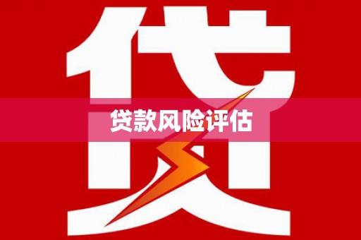 中宁贷款风险评估