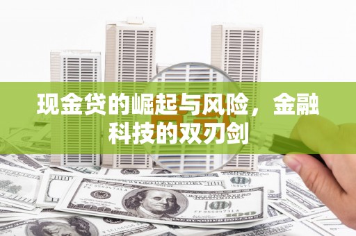 中宁现金贷的崛起与风险，金融科技的双刃剑