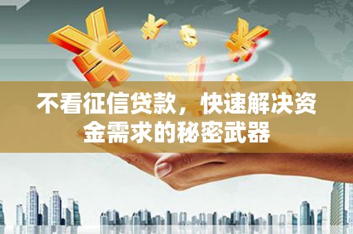 中宁不看征信贷款，快速解决资金需求的秘密武器