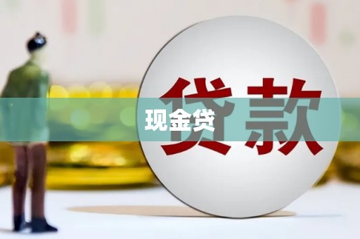 中宁现金贷