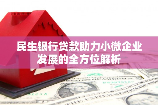 中宁民生银行贷款助力小微企业发展的全方位解析