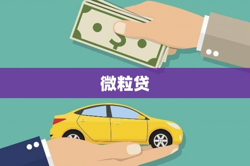 中宁微粒贷