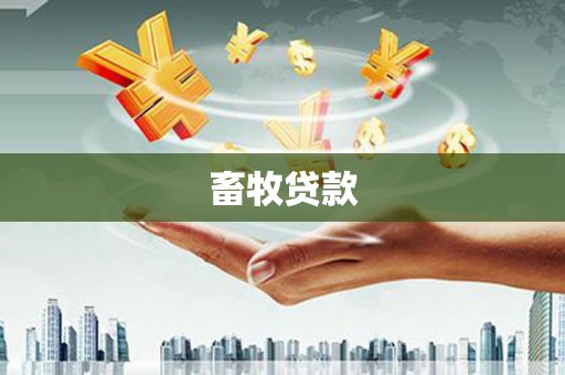 中宁畜牧贷款