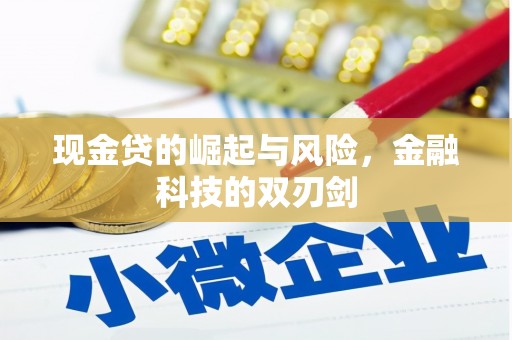 中宁现金贷的崛起与风险，金融科技的双刃剑