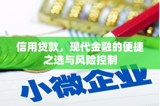 中宁信用贷款，现代金融的便捷之选与风险控制