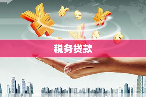 中宁税务贷款