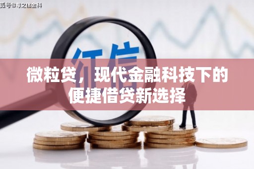 中宁微粒贷，现代金融科技下的便捷借贷新选择