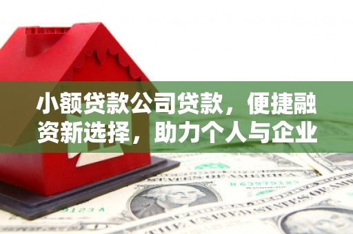 中宁小额贷款公司贷款，便捷融资新选择，助力个人与企业成长