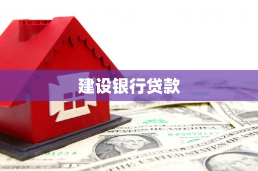 中宁建设银行贷款