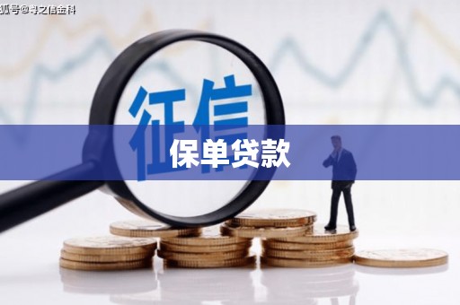 中宁保单贷款