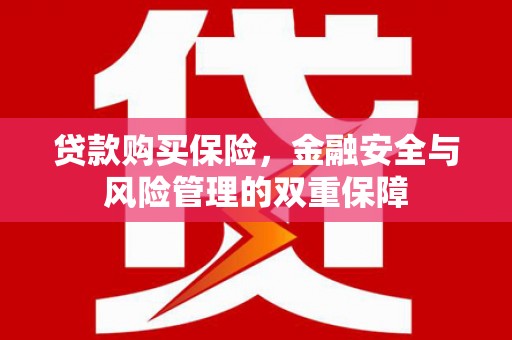 中宁贷款购买保险，金融安全与风险管理的双重保障