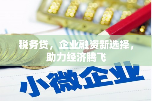 中宁税务贷，企业融资新选择，助力经济腾飞