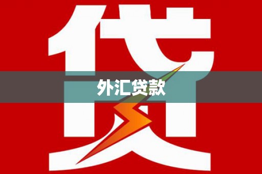 中宁外汇贷款