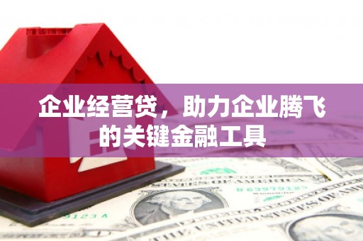 中宁企业经营贷，助力企业腾飞的关键金融工具