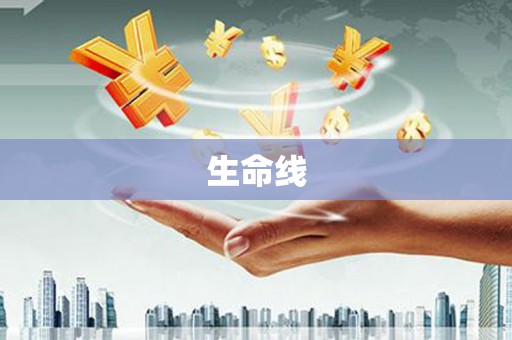 中宁生命线