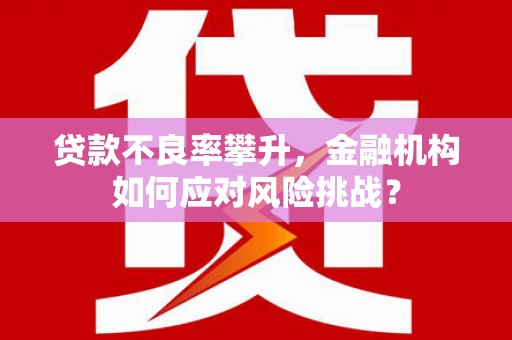 中宁贷款不良率攀升，金融机构如何应对风险挑战？