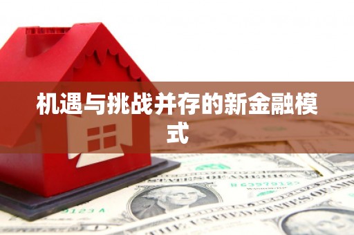 中宁机遇与挑战并存的新金融模式