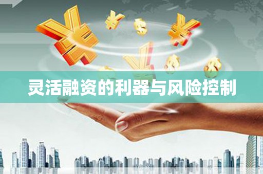 中宁灵活融资的利器与风险控制