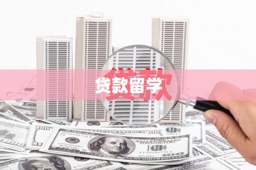 中宁贷款留学