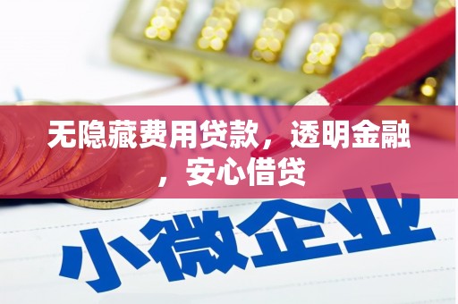 中宁无隐藏费用贷款，透明金融，安心借贷