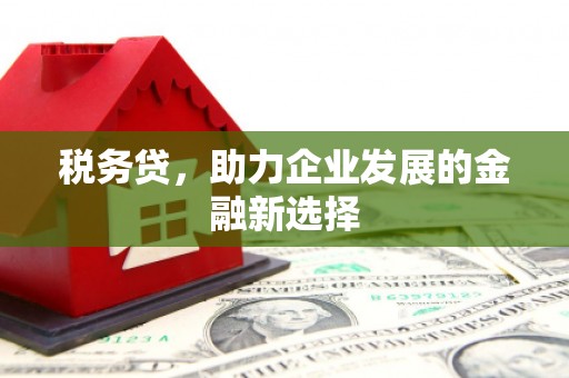 中宁税务贷，助力企业发展的金融新选择