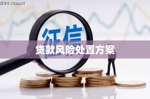 中宁贷款风险处置方案
