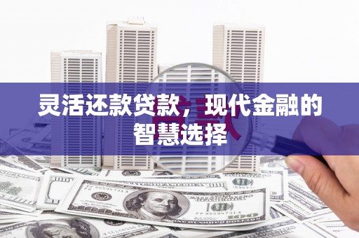 中宁灵活还款贷款，现代金融的智慧选择