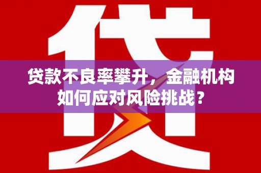 中宁贷款不良率攀升，金融机构如何应对风险挑战？