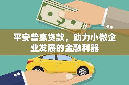 中宁平安普惠贷款，助力小微企业发展的金融利器