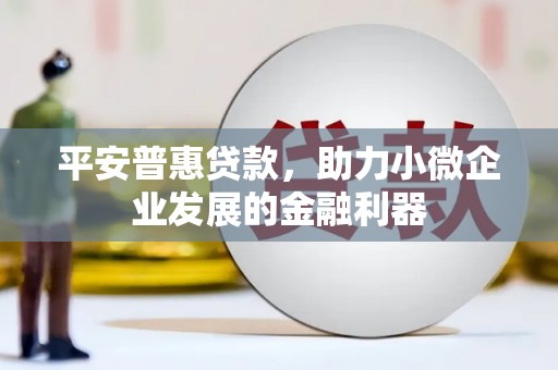 中宁平安普惠贷款，助力小微企业发展的金融利器