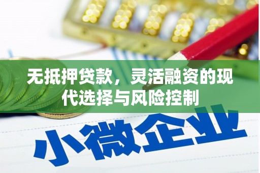 中宁无抵押贷款，灵活融资的现代选择与风险控制