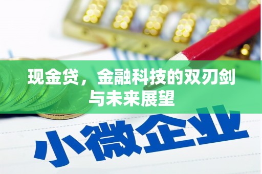 中宁现金贷，金融科技的双刃剑与未来展望