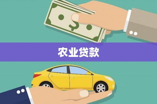 中宁农业贷款