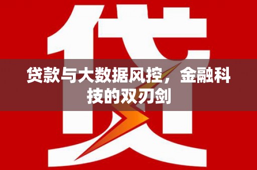 中宁贷款与大数据风控，金融科技的双刃剑
