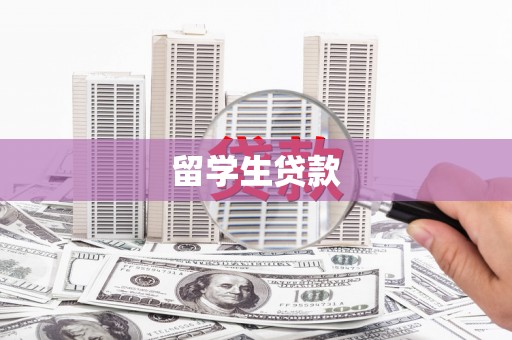 中宁留学生贷款