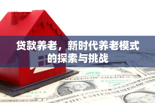 中宁贷款养老，新时代养老模式的探索与挑战