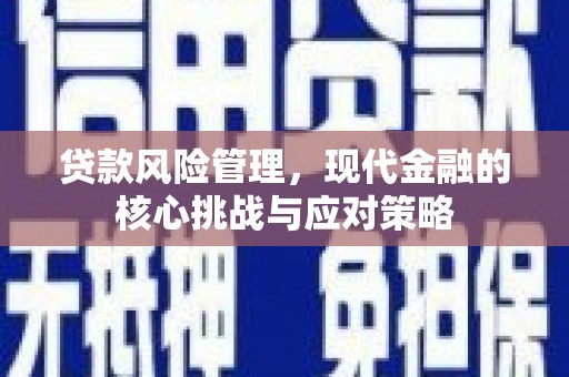 中宁贷款风险管理，现代金融的核心挑战与应对策略