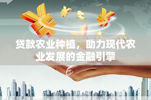 中宁贷款农业种植，助力现代农业发展的金融引擎