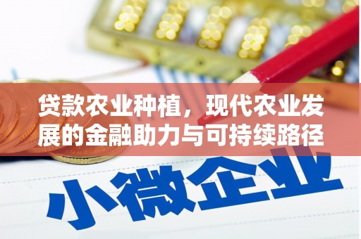中宁贷款农业种植，现代农业发展的金融助力与可持续路径