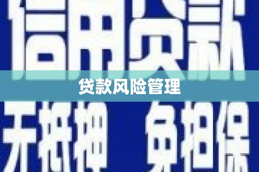 中宁贷款风险管理